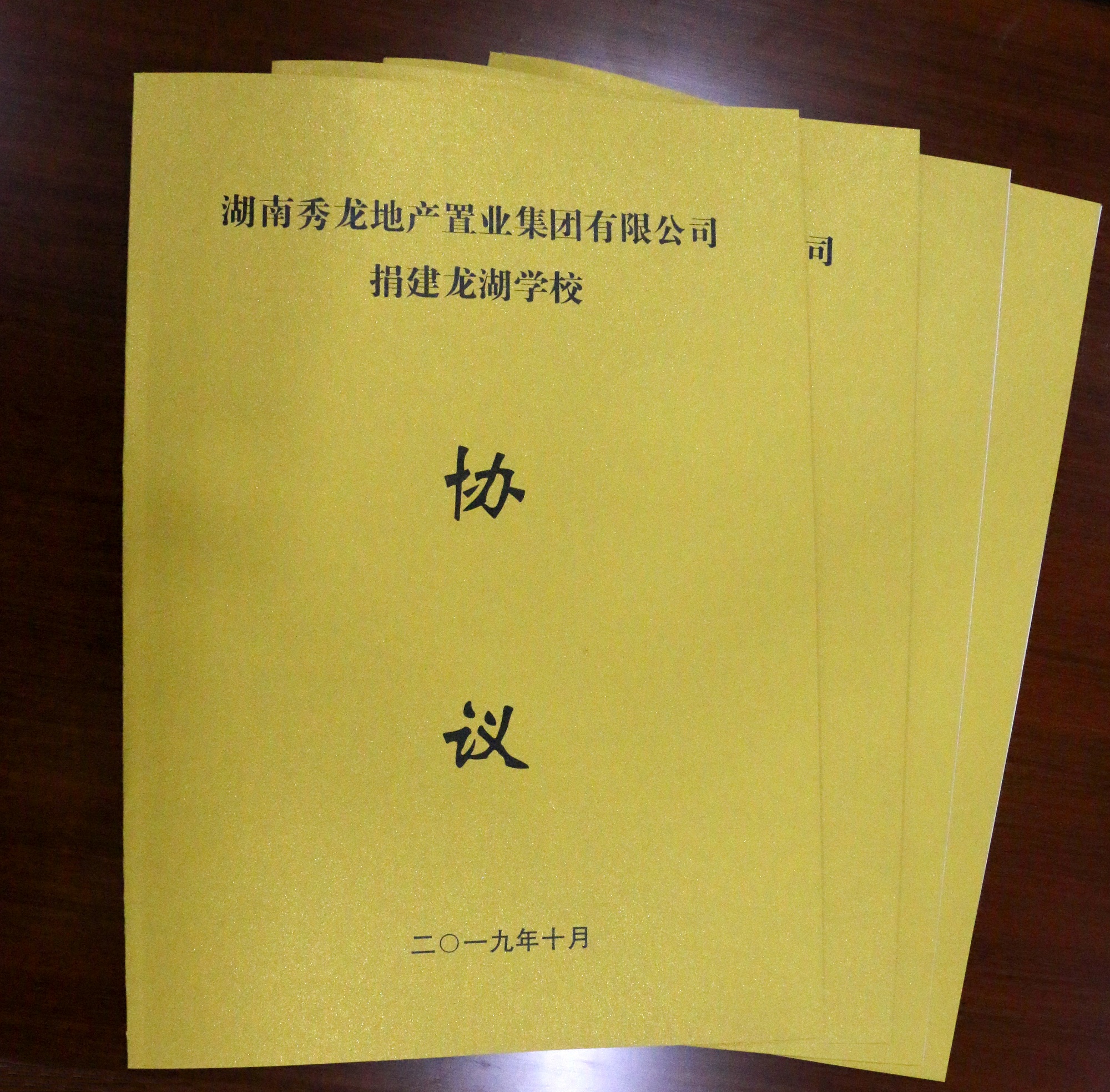 秀龙地产肖玉军董事长 出资6000万新建涟源龙湖学校